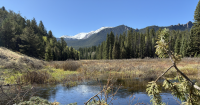 Colorado Springs Utilities Takes a Cue from Beavers to Protect Against Future Wildfires