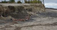 Delaware's coastal communities hit by early fall storm amid beach replenishment delays