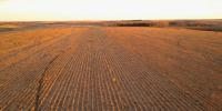 Farm safety net elections now open for 2026 crop year; assistance tools available