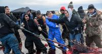 ‘Very joyful times’: Three whaling crews deliver excitement and traditional food to the shores of Utqiaġvik