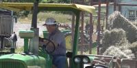 Rainfall helps Virginia farmers rebuild hay supplies