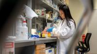 NYU Abu Dhabi study reveals how cells respond differently to cancer-causing gene