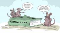 THEWILL EDITORIAL: Nigerians as Refugees in their Country