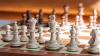 Pakistan secures gold in Category D at World Chess Olympiad 2026