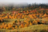 California State Parks named this SoCal landscape among its top 10 fall destinations — with 100 miles of trails through nearly 25,000 golden acres