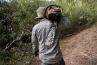 Despite a drop in deforestation in 2025, forest losses pile up in the Mekong