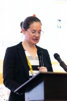 Stability key to mining investment in West Africa – Australian High Commissioner-designate
