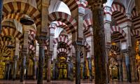 [Shafaqna exclusive] Intertwined destinies of religion and literature in world history