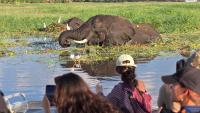 Beyond the safari: CAPT students uncover lessons in conservation and community in Botswana