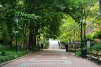 Penn experts study extreme heat, adaptation measures as annual temperatures rise