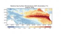Defining ‘Super El Niño’: What is it, and what does it mean for South Mississippi?
