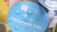 Copying Welsh model will not fix UK water industry, says non-profit boss