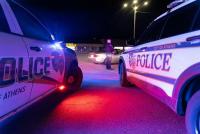 Police blotter: Turkey on the loose, no cigarettes, bees in the car