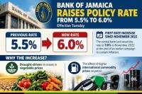 More rate hikes possible, economist warns after BOJ move