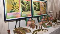 Ayurveda: India’s Holistic Approach to Health