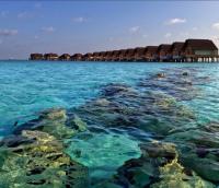 Researchers build artificial reef to help eroding Maldi