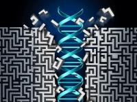 Japan AMED grant supports Sola’s SOL-257 for ALS