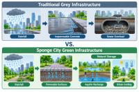 Nature’s Infiltration: Redefining Urban Water Resilience via the Sponge City Model