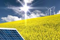 Indonesia, Romania to expand cooperation in green energy and culture