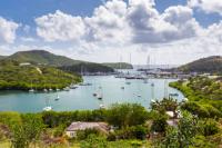 Yacht captains urge government to withdraw Whaling Resolution