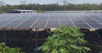 New Zealand's Maori communities empowered by green energy collaboration with China