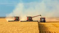 Kazakhstan to launch 6 deep grain processing projects