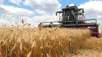 Grain shipments from Kazakhstan to Afghanistan rise 4.4 times