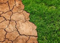 An AI model shows how climate events drive human migration