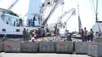 Ghana’s tuna industry in crisis as 20 hook-and-line vessels collapse  