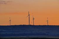 AIP assembles 312MW Swedish wind portfolio