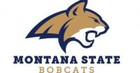 Montana State Bobcats football depth chart for Idaho game