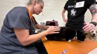 Kentucky nonprofit helps pets in veterinary desert