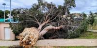 Strong storms to hit southern France, heightened warnings coming
