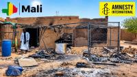 Mali: Amnesty International documents war crimes and warns of civilian toll