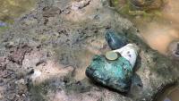 Copper-gold clues point to Timor-Leste porphyry prize for Estrella