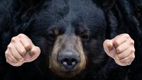 12-Year-Old Fights Off Bear With His Bare Hands After Being Attacked In His Yard In Washington State