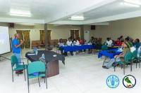 FAO Technical Mission Strengthens Protected Agriculture in St. Kitts and Nevis