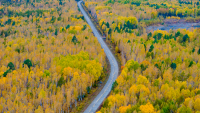 Countrywide autumn self-drive map released for National Day Holiday