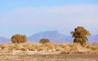 Tost, Toson Bumba Nature Reserve Receives UNESCO Biosphere Designation