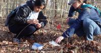 UK study finds fungus in Kentucky’s forest grass makes rare bug-fighting chemicals