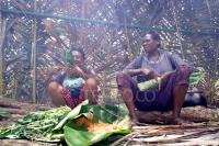 Indonesia Rejects Allegations of Systematic Human Rights Violations in Papua