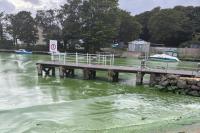 'It's now a moral issue because it's the water that we all drink' - Lough Neagh Fishermen's Co-Operative Society gives evidence to AERA Committee