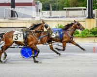 DSBF divisions back in spotlight at Harrington Raceway