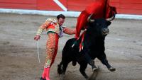The Constitutional Court of Colombia upholds Law 2385 against the bullfighters’ request, banning bullfights.