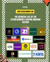 YNaija’s New Establishment 100