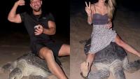 Tourists face legal action over turtle-riding video in Oman