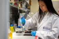 NYU Abu Dhabi study sheds light on cellular senescence in cancer