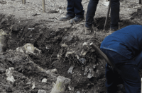 Colombia – Türk welcomes landmark restorative justice steps involving former FARC leaders and army officers