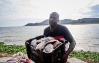 Kenya's Senate petitioned to control the spread of cage fish farming in Lake Victoria