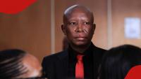 Julius Malema: Court grants EFF president leave to appeal his firearm conviction